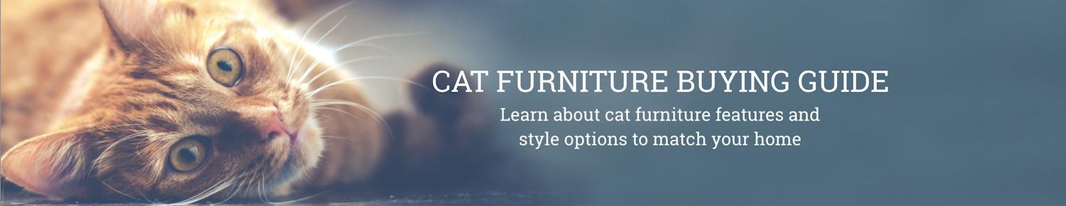 Cat furniture buying guide
