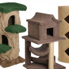 Different Types of Cat Furniture