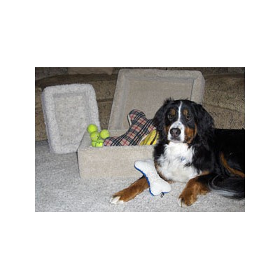 Carpeted Pet Toy Box