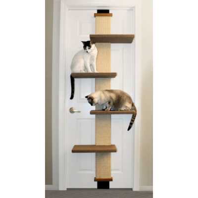 Cat Door Climber