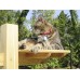52 Inch Double Perch Outdoor or Indoor Cat Tree - 4 Perches, 3 Levels
