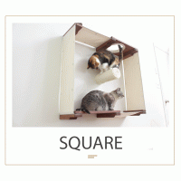 Square - Wall Mounted for Cats