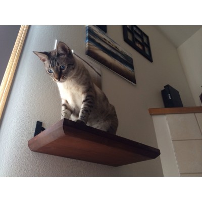 Stained Wooden Cat Wall Shelf