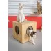 CatsCubby Wooden Cat Condo