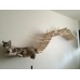 Deluxe Cat Wall Mounted Boardwalk Bridge