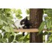 Luxury Cat Tree (Large) - Round Base