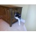 Small Cat Litter Box Chest with Odor Absorbing Light