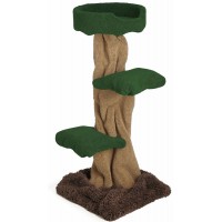 Mushroom Tree with Tub