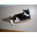 Wall Mounted Curvy Cat Shelf