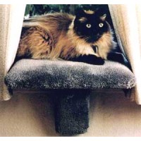 Small Padded Cat Window Perch