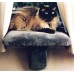 Small Padded Cat Window Perch